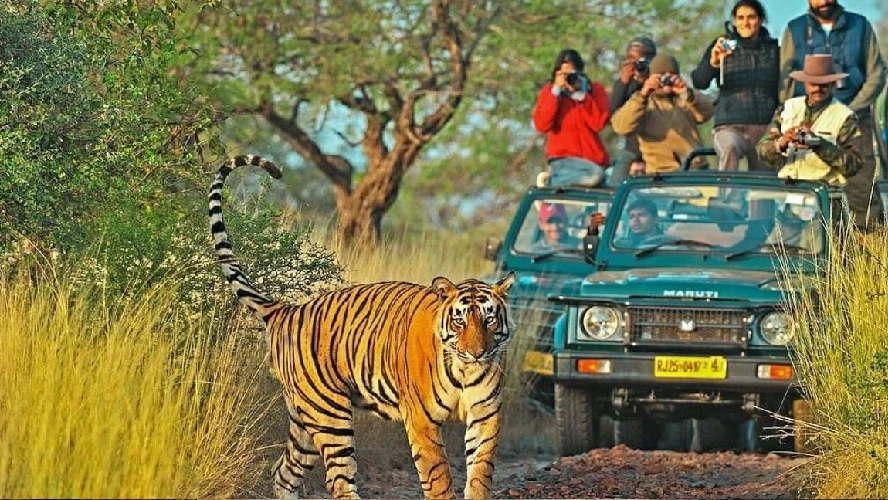Golden Triangle Holiday Package