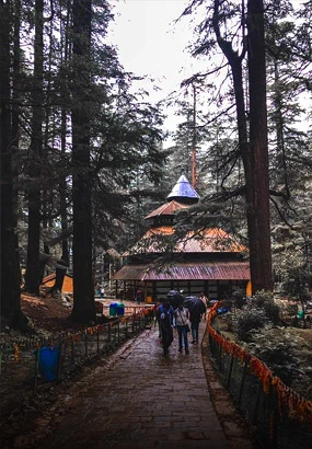 Himachal Pradesh holiday packages